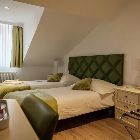 Hotel Du Raisin Lozanna