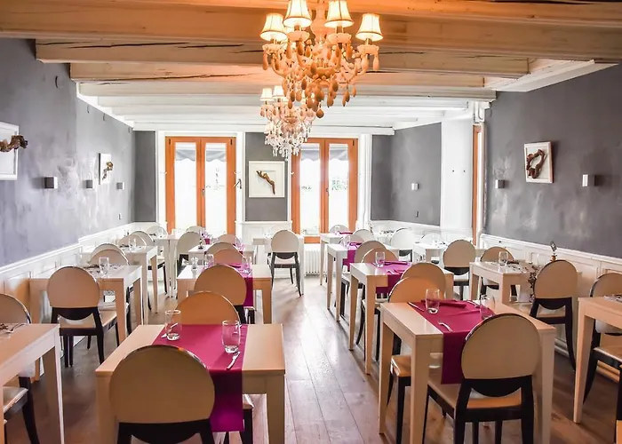 Hotel Du Raisin Lausana