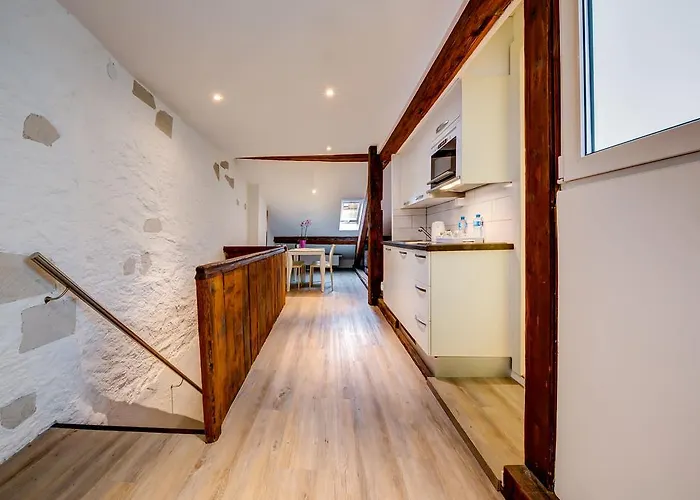 Hotel Du Raisin Lausana