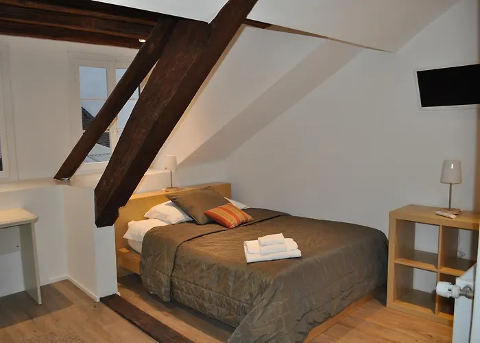 Du Raisin Hotel Lausana