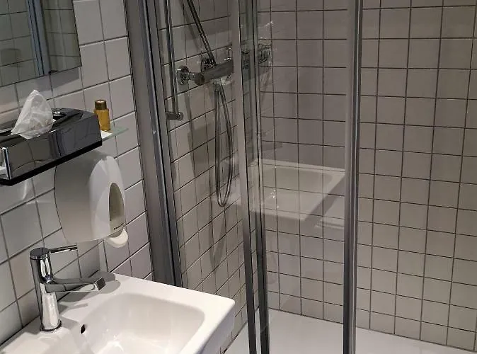 Hotel Du Raisin Lausana